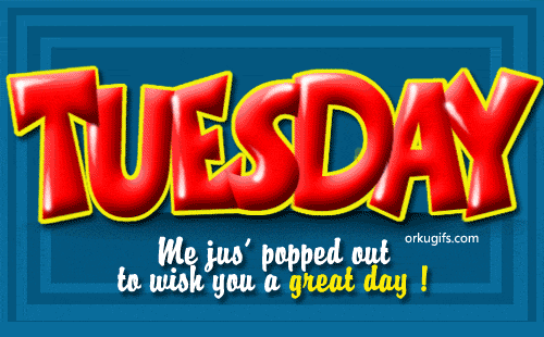Tuesday. Me just popped out to wish you a great day! - Images and gifs for social networks