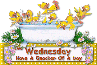 Wednesday: Have a Quacker of a day - Images and gifs for social networks